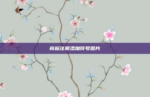 商标注册添加符号图片