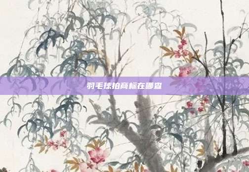 羽毛球拍商标在哪查