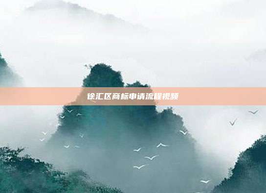 徐汇区商标申请流程视频