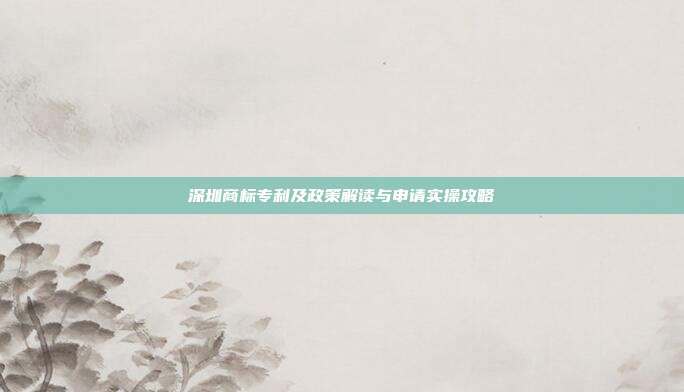 深圳商标专利及政策解读与申请实操攻略