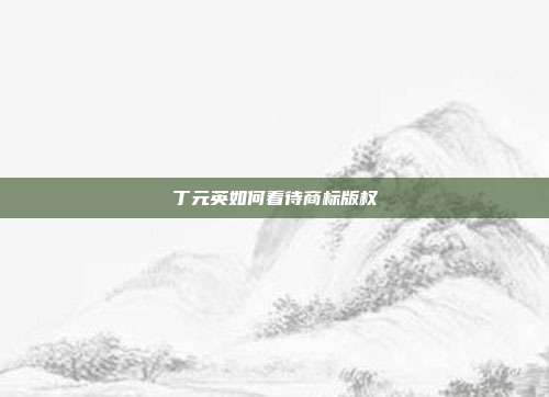 丁元英如何看待商标版权