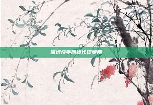 深圳快手商标代理费用