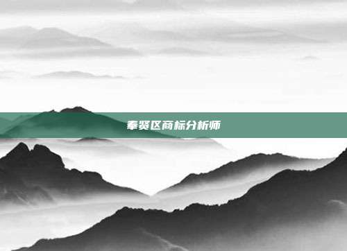 奉贤区商标分析师
