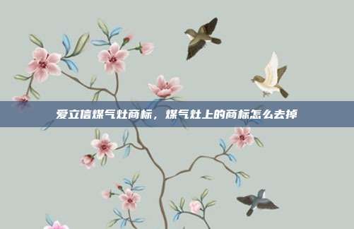 爱立信煤气灶商标,煤气灶上的商标怎么去掉