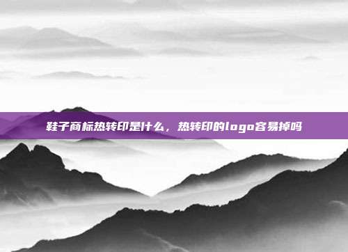 鞋子商标热转印是什么，热转印的logo容易掉吗