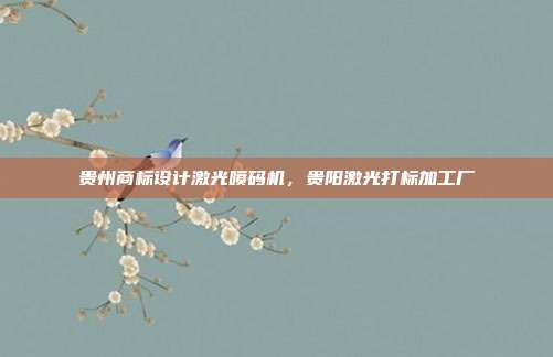 贵州商标设计激光喷码机，贵阳激光打标加工厂