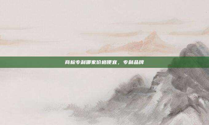 商标专利哪家价格便宜,专利品牌