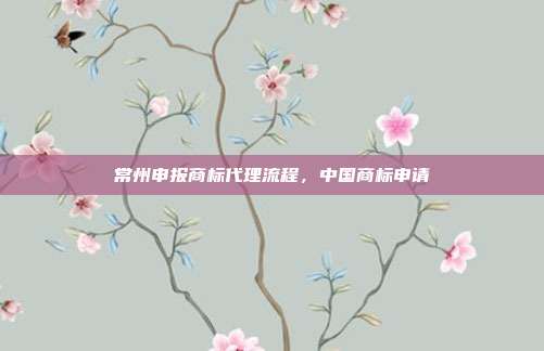常州申报商标代理流程，中国商标申请