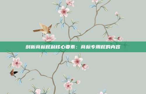剖析商标权利核心要素:商标专用权的内容