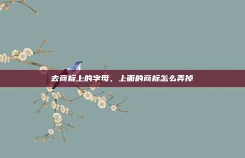去商标上的字母,上面的商标怎么弄掉