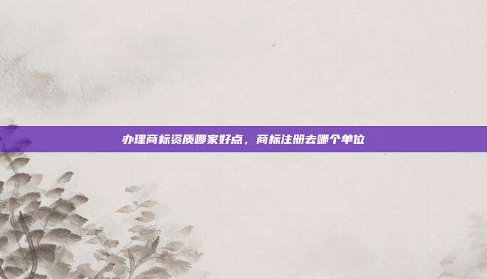 办理商标资质哪家好点,商标注册去哪个单位