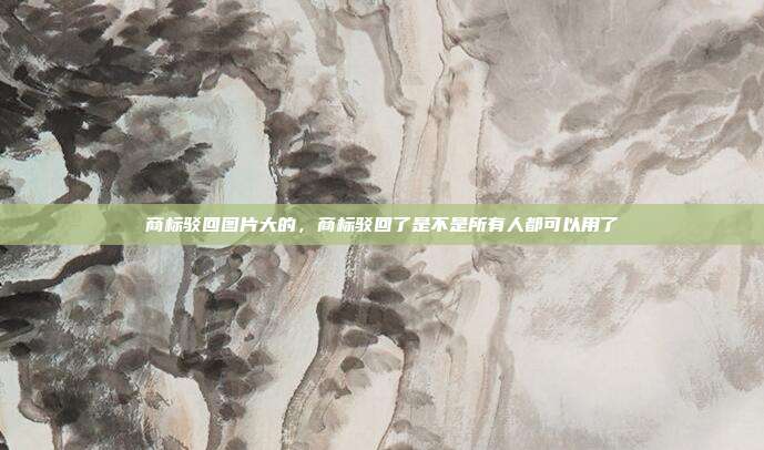 商标驳回图片大的,商标驳回了是不是所有人都可以用了