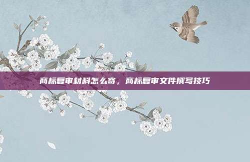 商标复审材料怎么寄,商标复审文件撰写技巧