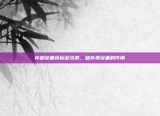 存储设备商标多少类，储存类设备的作用