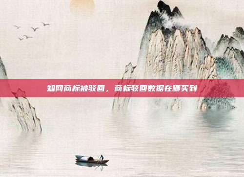 知网商标被驳回，商标驳回数据在哪买到