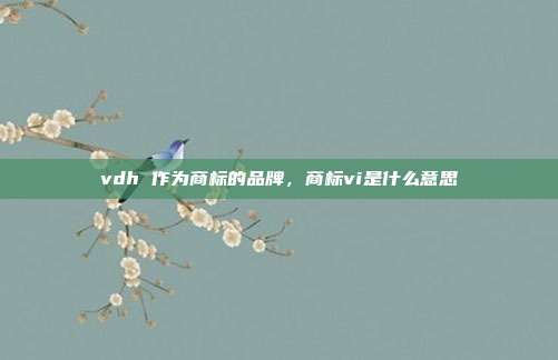 vdh 作为商标的品牌,商标vi是什么意思