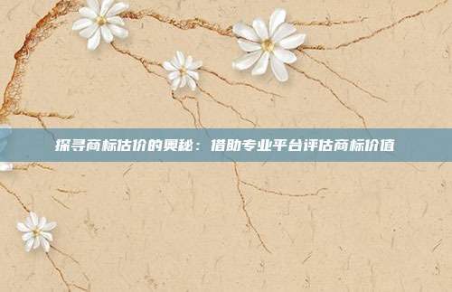 探寻商标估价的奥秘：借助专业平台评估商标价值
