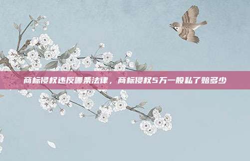 商标侵权违反哪条法律,商标侵权5万一般私了赔多少