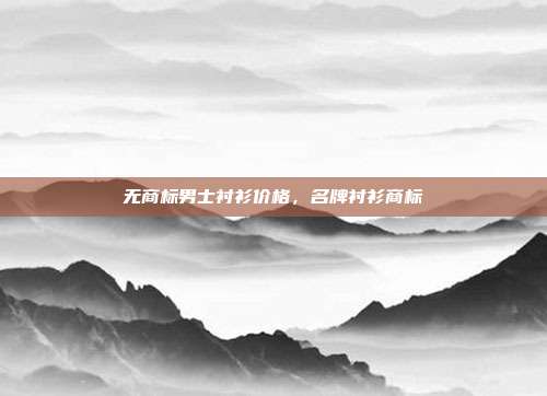 无商标男士衬衫价格,名牌衬衫商标