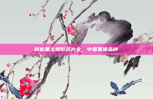 商标黑土猪取名大全,中国黑猪品种