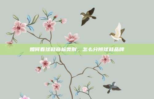 如何看球鞋商标类别,怎么分辨球鞋品牌