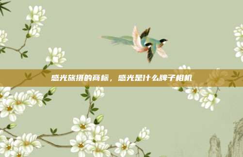 感光旅摄的商标,感光是什么牌子相机