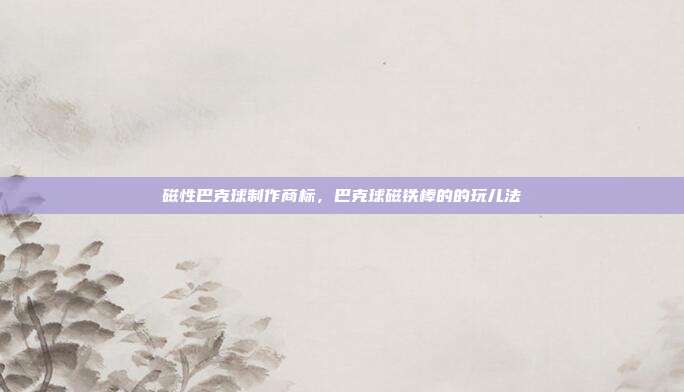 磁性巴克球制作商标,巴克球磁铁棒的的玩儿法