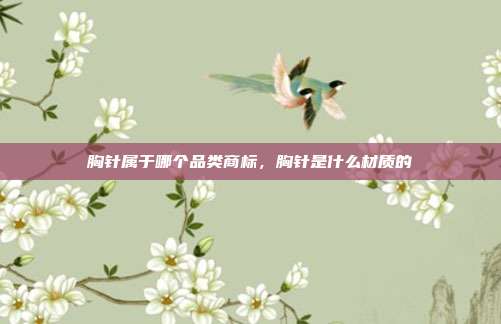 胸针属于哪个品类商标，胸针是什么材质的