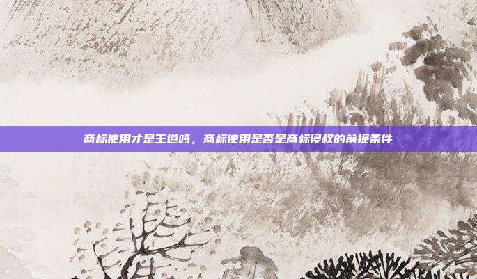 商标使用才是王道吗，商标使用是否是商标侵权的前提条件