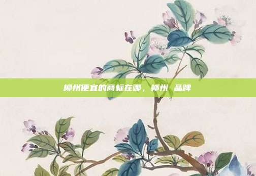 柳州便宜的商标在哪,柳州 品牌