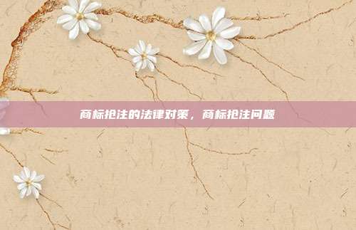 商标抢注的法律对策,商标抢注问题