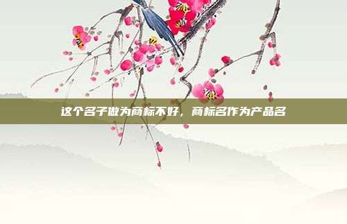 这个名子做为商标不好,商标名作为产品名