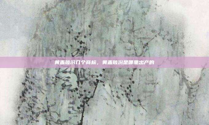 黄盖玻汾几个商标,黄盖玻汾是哪里出产的