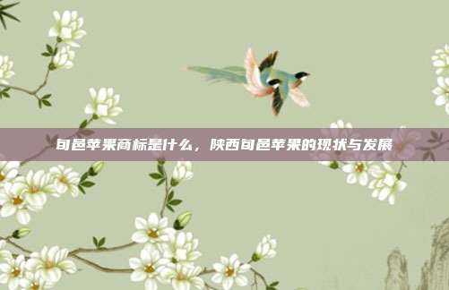 旬邑苹果商标是什么,陕西旬邑苹果的现状与发展