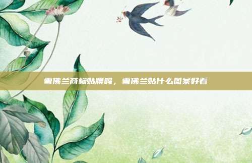 雪佛兰商标贴膜吗,雪佛兰贴什么图案好看