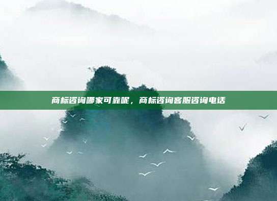 商标咨询哪家可靠呢,商标咨询客服咨询电话
