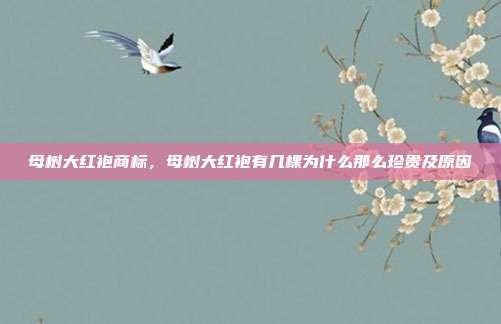 母树大红袍商标,母树大红袍有几棵为什么那么珍贵及原因