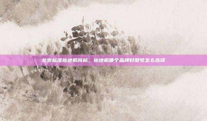 北京标准拖地机商标,拖地机哪个品牌好型号怎么选择