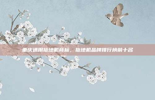 重庆通用拖地机商标,拖地机品牌排行榜前十名