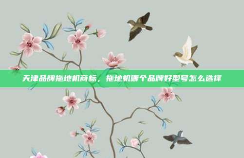 天津品牌拖地机商标,拖地机哪个品牌好型号怎么选择