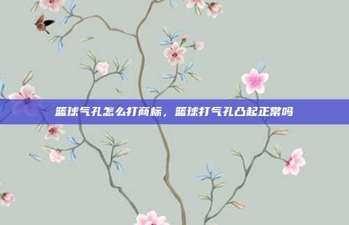篮球气孔怎么打商标，篮球打气孔凸起正常吗