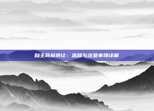 自主商标转让:流程与注意事项详解