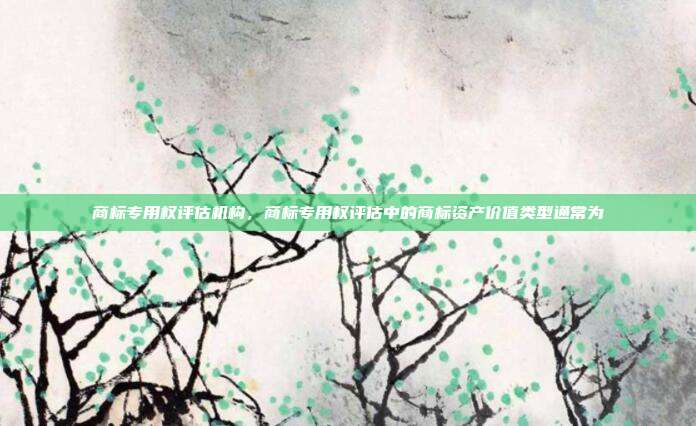 商标专用权评估机构,商标专用权评估中的商标资产价值类型通常为