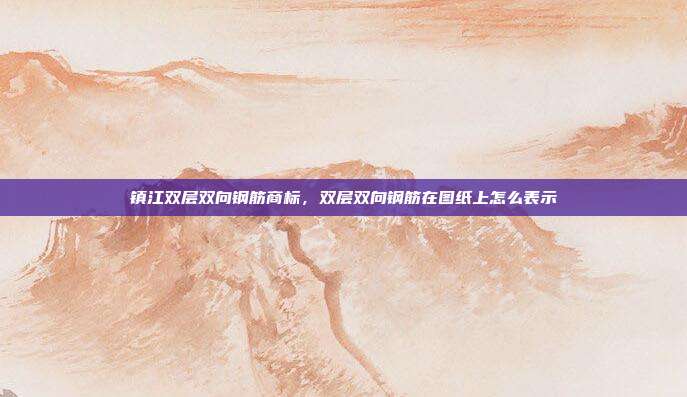 镇江双层双向钢筋商标，双层双向钢筋在图纸上怎么表示