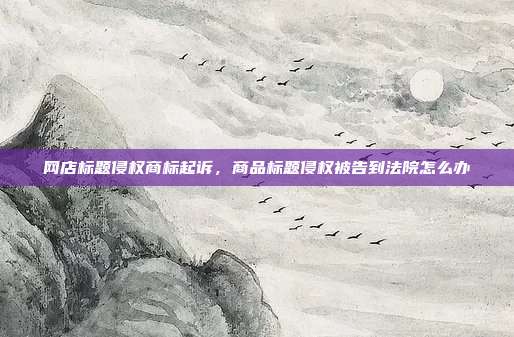 网店标题侵权商标起诉,商品标题侵权被告到法院怎么办
