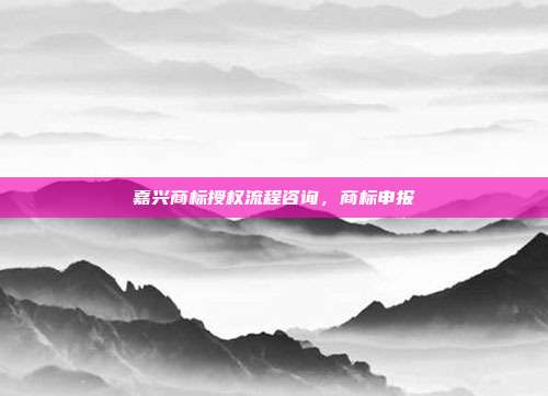嘉兴商标授权流程咨询,商标申报