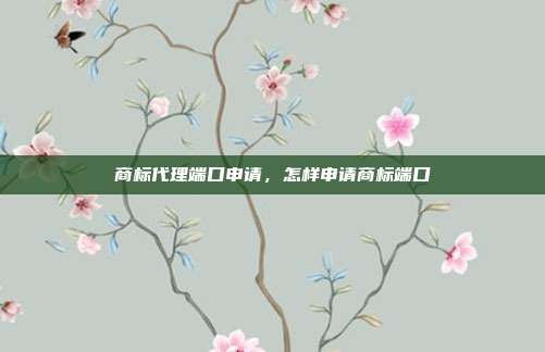 商标代理端口申请,怎样申请商标端口