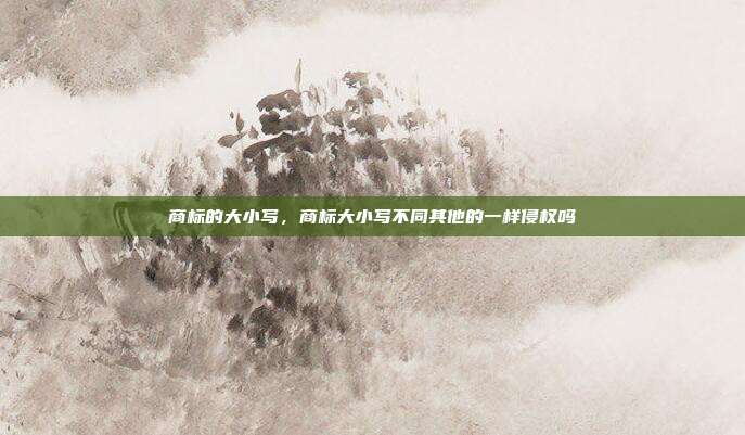 商标的大小写,商标大小写不同其他的一样侵权吗