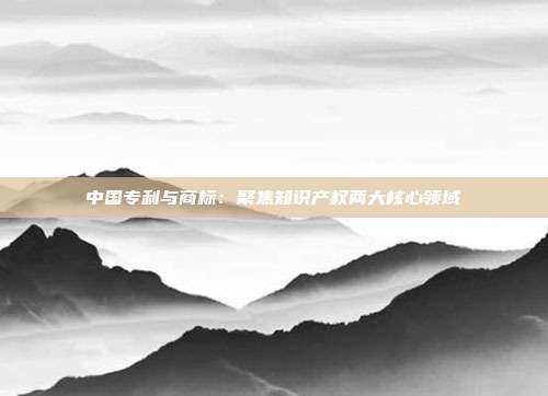 中国专利与商标:聚焦知识产权两大核心领域