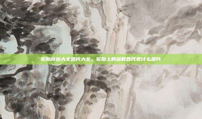 轮胎商标大全图片大全,轮胎上的参数各代表什么图片